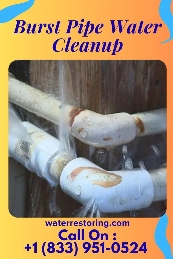 Burst Pipe Water Cleanup in North Wales, PA