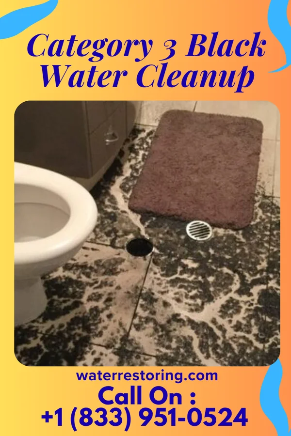Category 3 Black Water Cleanup in North Wales, PA