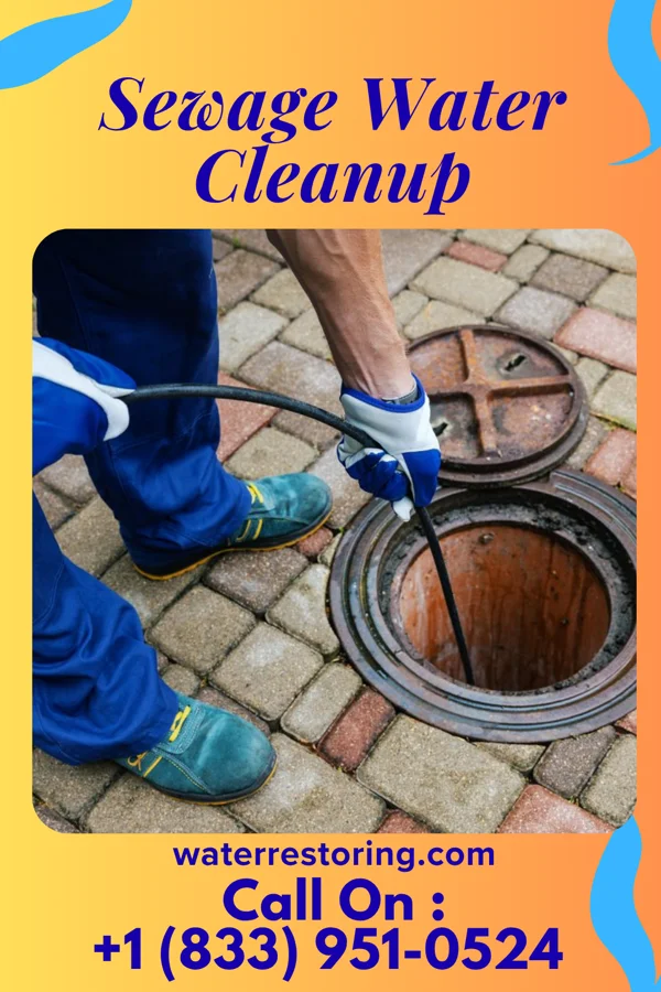 Sewage Water Cleanup in North Wales, PA